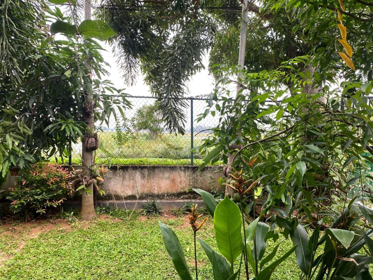 Birds Paradise Yala & Safari Tissamaharama Exterior foto