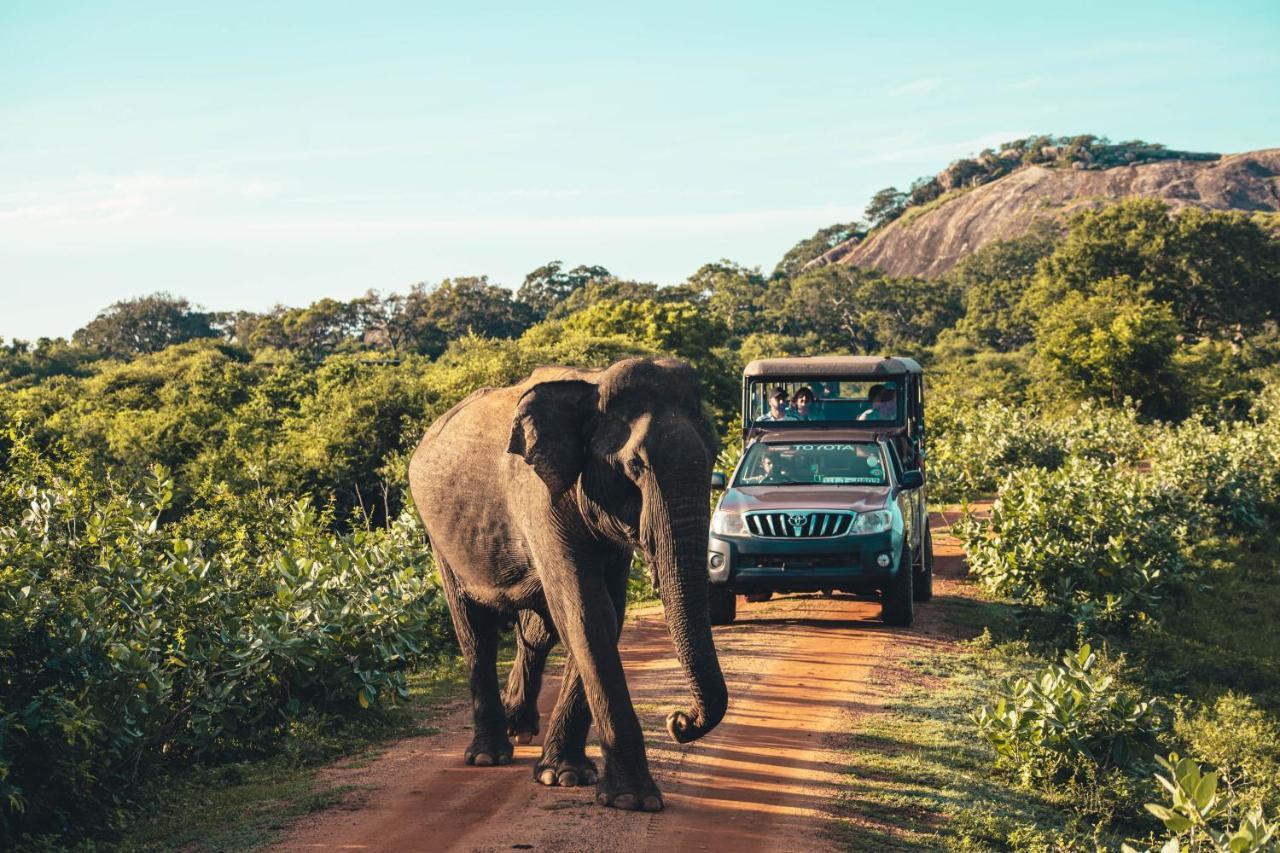 Birds Paradise Yala & Safari Tissamaharama Exterior foto